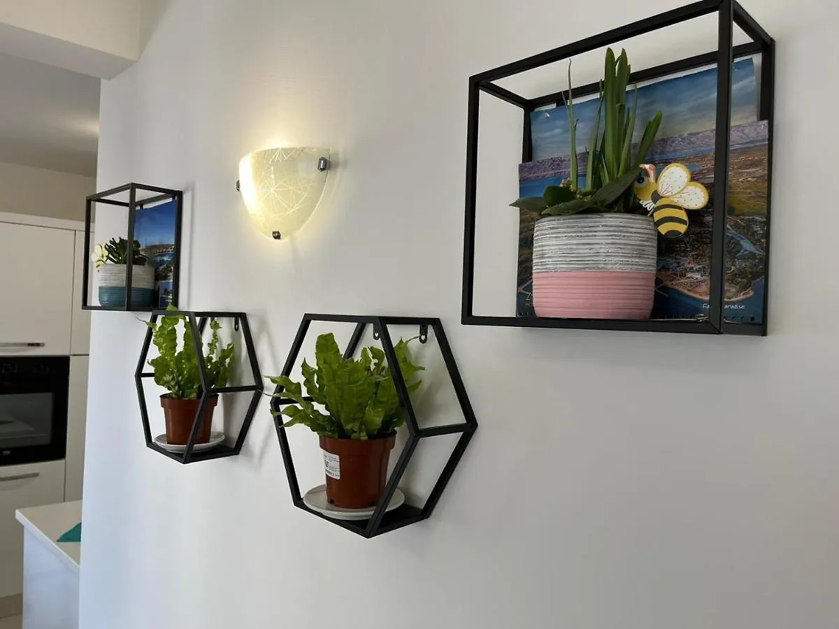 City Apartment Vitas Zadar Croatia